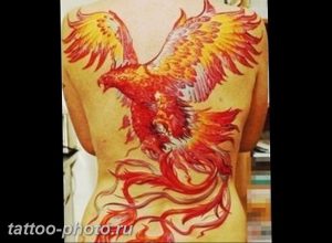 фото идеи тату феникс 18.12.2018 №172 - photo ideas tattoo phoenix - tattoo-photo.ru