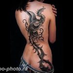 фото идеи тату феникс 18.12.2018 №174 - photo ideas tattoo phoenix - tattoo-photo.ru