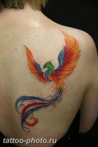 фото идеи тату феникс 18.12.2018 №182 - photo ideas tattoo phoenix - tattoo-photo.ru