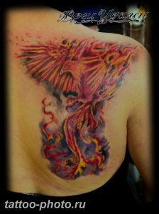 фото идеи тату феникс 18.12.2018 №188 - photo ideas tattoo phoenix - tattoo-photo.ru
