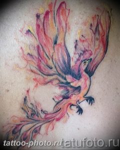 фото идеи тату феникс 18.12.2018 №190 - photo ideas tattoo phoenix - tattoo-photo.ru