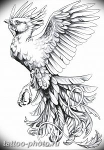 фото идеи тату феникс 18.12.2018 №191 - photo ideas tattoo phoenix - tattoo-photo.ru