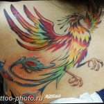 фото идеи тату феникс 18.12.2018 №193 - photo ideas tattoo phoenix - tattoo-photo.ru