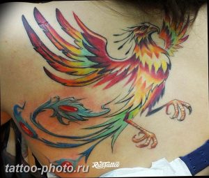 фото идеи тату феникс 18.12.2018 №193 - photo ideas tattoo phoenix - tattoo-photo.ru