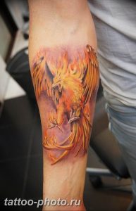 фото идеи тату феникс 18.12.2018 №194 - photo ideas tattoo phoenix - tattoo-photo.ru