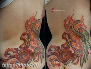 фото идеи тату феникс 18.12.2018 №203 - photo ideas tattoo phoenix - tattoo-photo.ru