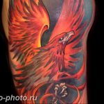 фото идеи тату феникс 18.12.2018 №204 - photo ideas tattoo phoenix - tattoo-photo.ru