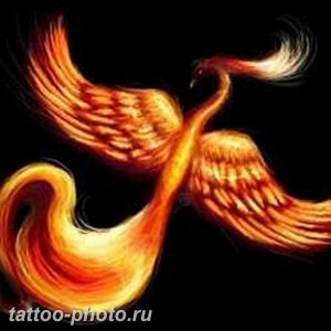 фото идеи тату феникс 18.12.2018 №211 - photo ideas tattoo phoenix - tattoo-photo.ru