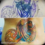 фото идеи тату феникс 18.12.2018 №212 - photo ideas tattoo phoenix - tattoo-photo.ru