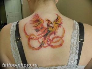 фото идеи тату феникс 18.12.2018 №215 - photo ideas tattoo phoenix - tattoo-photo.ru