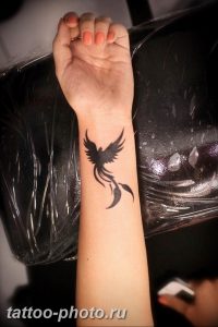 фото идеи тату феникс 18.12.2018 №224 - photo ideas tattoo phoenix - tattoo-photo.ru