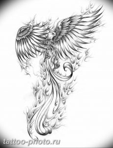 фото идеи тату феникс 18.12.2018 №225 - photo ideas tattoo phoenix - tattoo-photo.ru