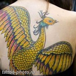 фото идеи тату феникс 18.12.2018 №227 - photo ideas tattoo phoenix - tattoo-photo.ru