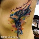 фото идеи тату феникс 18.12.2018 №232 - photo ideas tattoo phoenix - tattoo-photo.ru