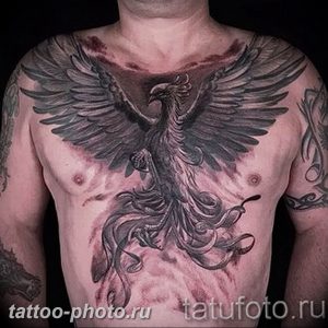 фото идеи тату феникс 18.12.2018 №240 - photo ideas tattoo phoenix - tattoo-photo.ru