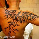 фото идеи тату феникс 18.12.2018 №241 - photo ideas tattoo phoenix - tattoo-photo.ru