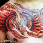 фото идеи тату феникс 18.12.2018 №244 - photo ideas tattoo phoenix - tattoo-photo.ru