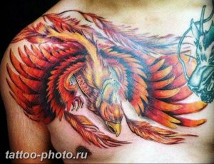 фото идеи тату феникс 18.12.2018 №244 - photo ideas tattoo phoenix - tattoo-photo.ru