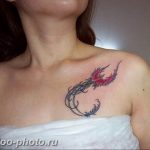 фото идеи тату феникс 18.12.2018 №247 - photo ideas tattoo phoenix - tattoo-photo.ru