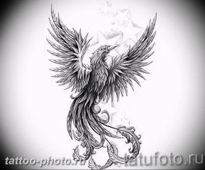 фото идеи тату феникс 18.12.2018 №249 - photo ideas tattoo phoenix - tattoo-photo.ru