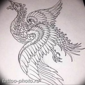 фото идеи тату феникс 18.12.2018 №255 - photo ideas tattoo phoenix - tattoo-photo.ru