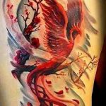 фото идеи тату феникс 18.12.2018 №259 - photo ideas tattoo phoenix - tattoo-photo.ru