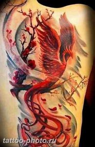 фото идеи тату феникс 18.12.2018 №259 - photo ideas tattoo phoenix - tattoo-photo.ru