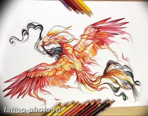 фото идеи тату феникс 18.12.2018 №260 - photo ideas tattoo phoenix - tattoo-photo.ru