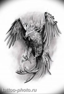 фото идеи тату феникс 18.12.2018 №261 - photo ideas tattoo phoenix - tattoo-photo.ru