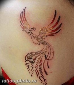 фото идеи тату феникс 18.12.2018 №266 - photo ideas tattoo phoenix - tattoo-photo.ru