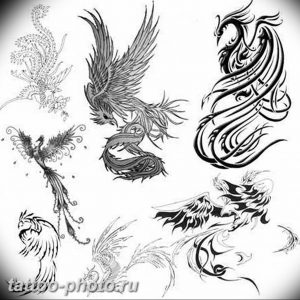 фото идеи тату феникс 18.12.2018 №281 - photo ideas tattoo phoenix - tattoo-photo.ru