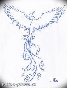 фото идеи тату феникс 18.12.2018 №282 - photo ideas tattoo phoenix - tattoo-photo.ru