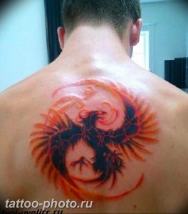 фото идеи тату феникс 18.12.2018 №284 - photo ideas tattoo phoenix - tattoo-photo.ru