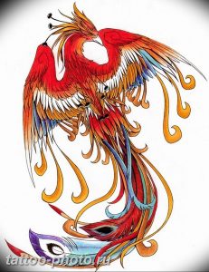 фото идеи тату феникс 18.12.2018 №292 - photo ideas tattoo phoenix - tattoo-photo.ru