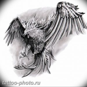 фото идеи тату феникс 18.12.2018 №294 - photo ideas tattoo phoenix - tattoo-photo.ru