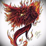 фото идеи тату феникс 18.12.2018 №300 - photo ideas tattoo phoenix - tattoo-photo.ru