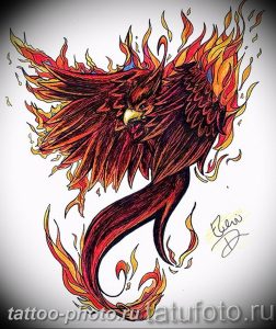 фото идеи тату феникс 18.12.2018 №300 - photo ideas tattoo phoenix - tattoo-photo.ru