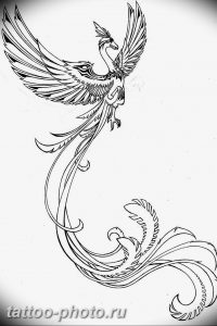 фото идеи тату феникс 18.12.2018 №314 - photo ideas tattoo phoenix - tattoo-photo.ru