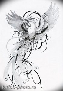 фото идеи тату феникс 18.12.2018 №315 - photo ideas tattoo phoenix - tattoo-photo.ru