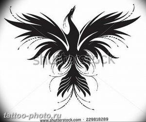 фото идеи тату феникс 18.12.2018 №317 - photo ideas tattoo phoenix - tattoo-photo.ru