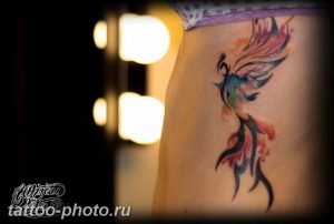 фото идеи тату феникс 18.12.2018 №322 - photo ideas tattoo phoenix - tattoo-photo.ru
