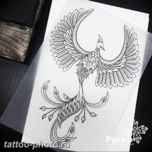фото идеи тату феникс 18.12.2018 №326 - photo ideas tattoo phoenix - tattoo-photo.ru