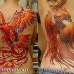 фото идеи тату феникс 18.12.2018 №327 - photo ideas tattoo phoenix - tattoo-photo.ru