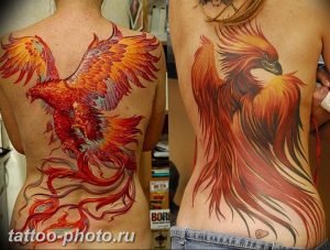 фото идеи тату феникс 18.12.2018 №327 - photo ideas tattoo phoenix - tattoo-photo.ru