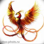 фото идеи тату феникс 18.12.2018 №332 - photo ideas tattoo phoenix - tattoo-photo.ru