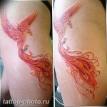 фото идеи тату феникс 18.12.2018 №337 - photo ideas tattoo phoenix - tattoo-photo.ru