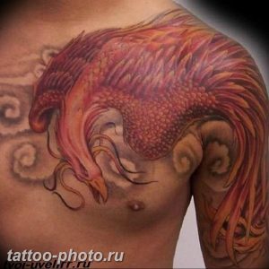 фото идеи тату феникс 18.12.2018 №338 - photo ideas tattoo phoenix - tattoo-photo.ru