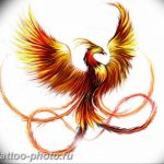 фото идеи тату феникс 18.12.2018 №341 - photo ideas tattoo phoenix - tattoo-photo.ru