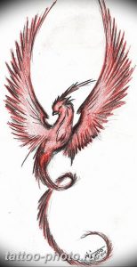 фото идеи тату феникс 18.12.2018 №343 - photo ideas tattoo phoenix - tattoo-photo.ru