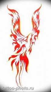 фото идеи тату феникс 18.12.2018 №344 - photo ideas tattoo phoenix - tattoo-photo.ru